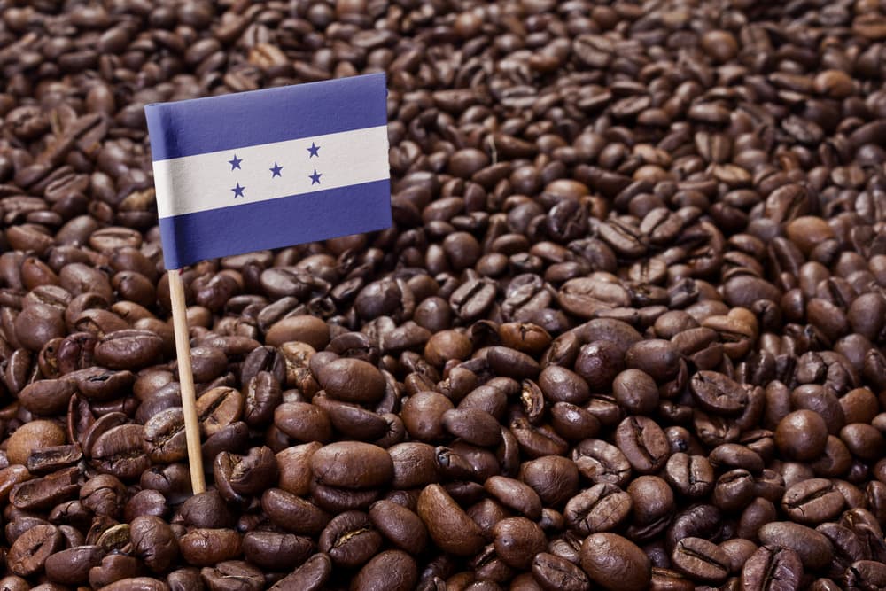 Honduras COMSA Singe Origin