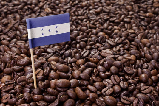 Honduras COMSA Singe Origin