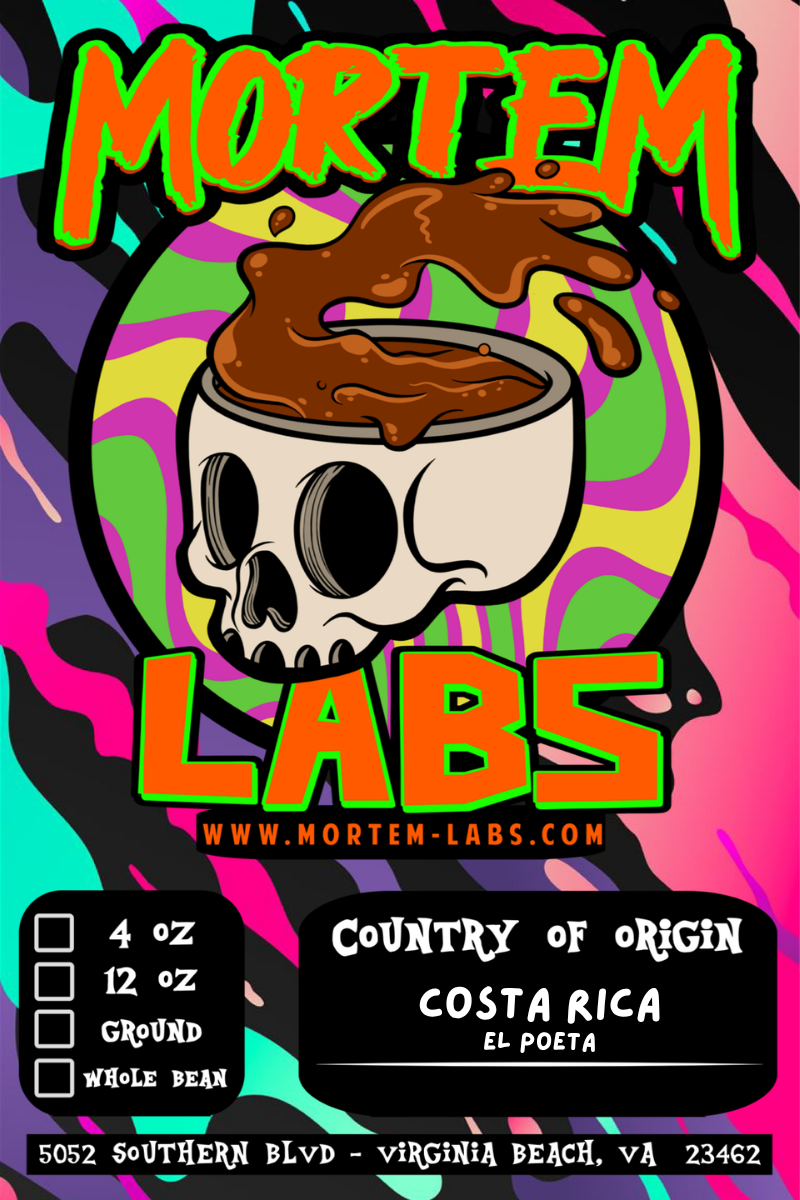 costa rica el poeta