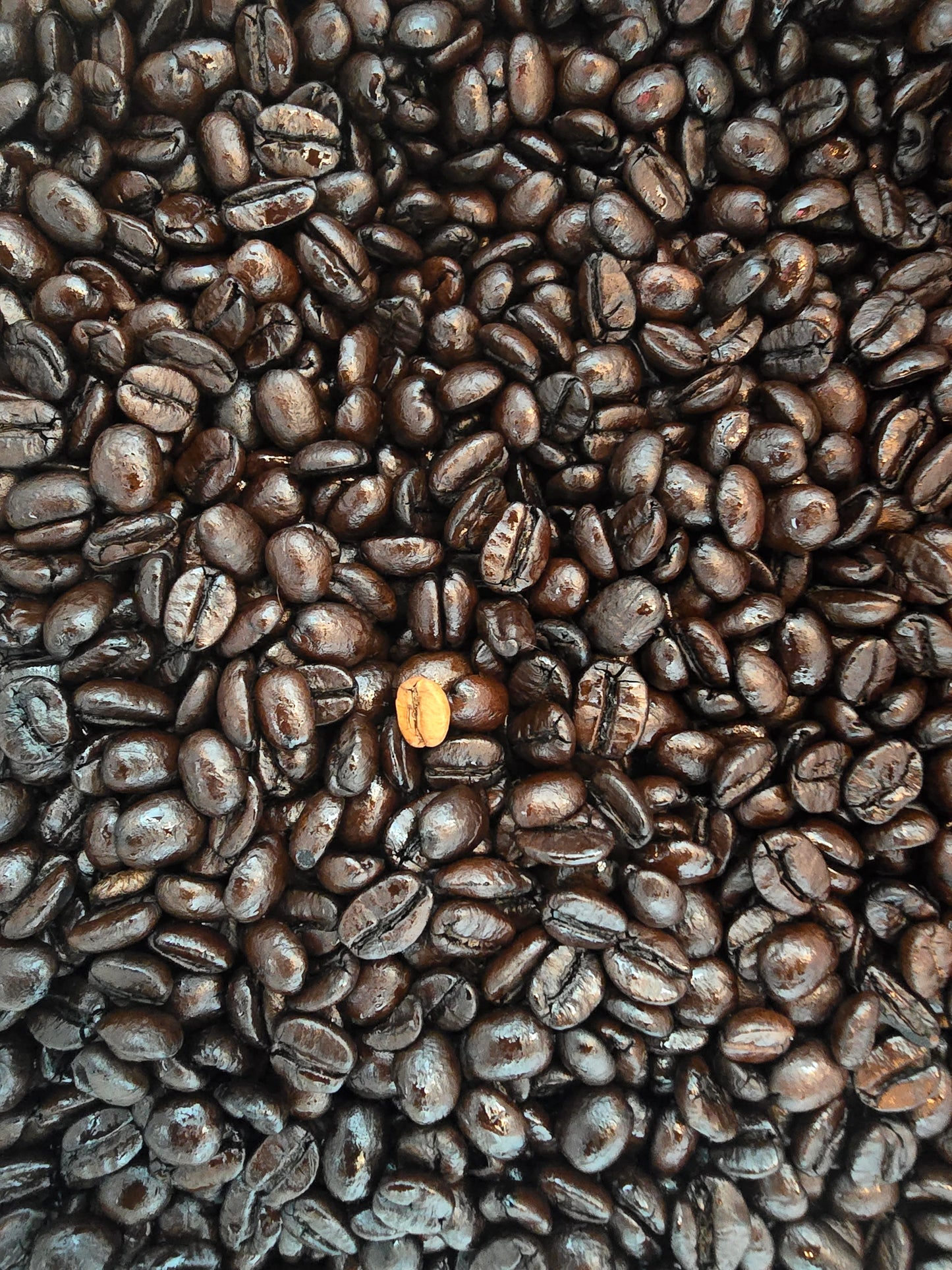 Mess Deck Coffee