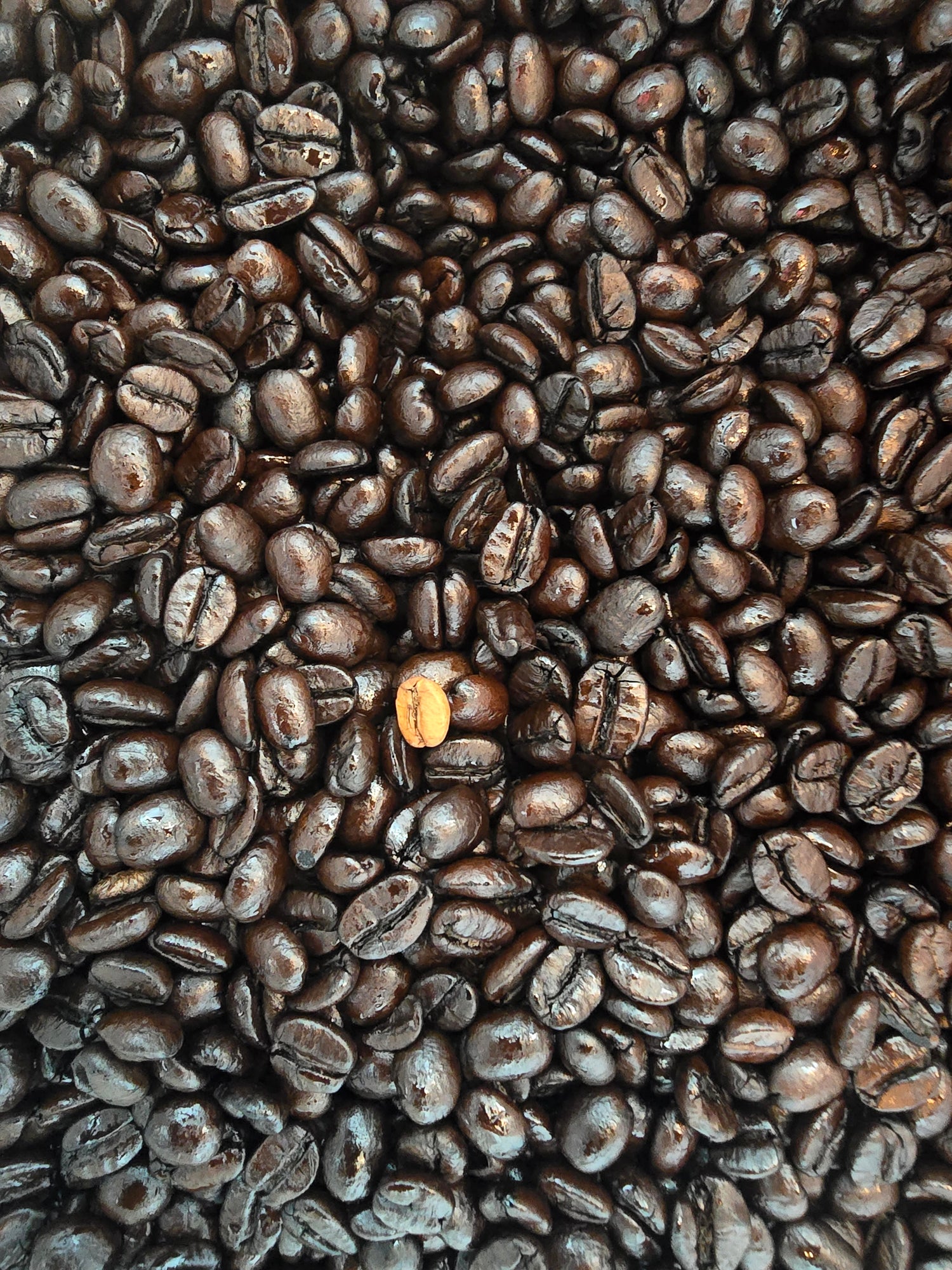 coffee beans